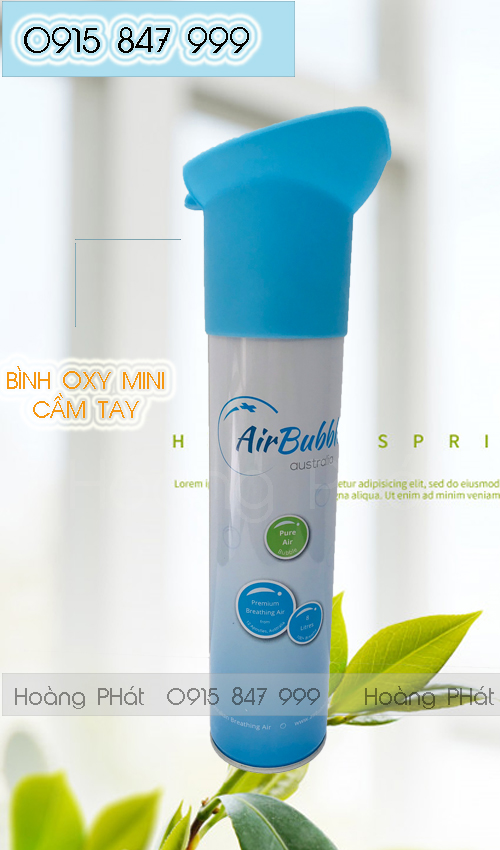 Bình Oxy y tế mini